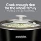 Deal Partners, Inc 16-Cup Rice Cooker and Steamer in Black, , large