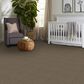 Shaw Del Morro Carpet in Denali, , large