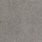 Dream Weaver Affinity IV Carpet in Moxie, , large