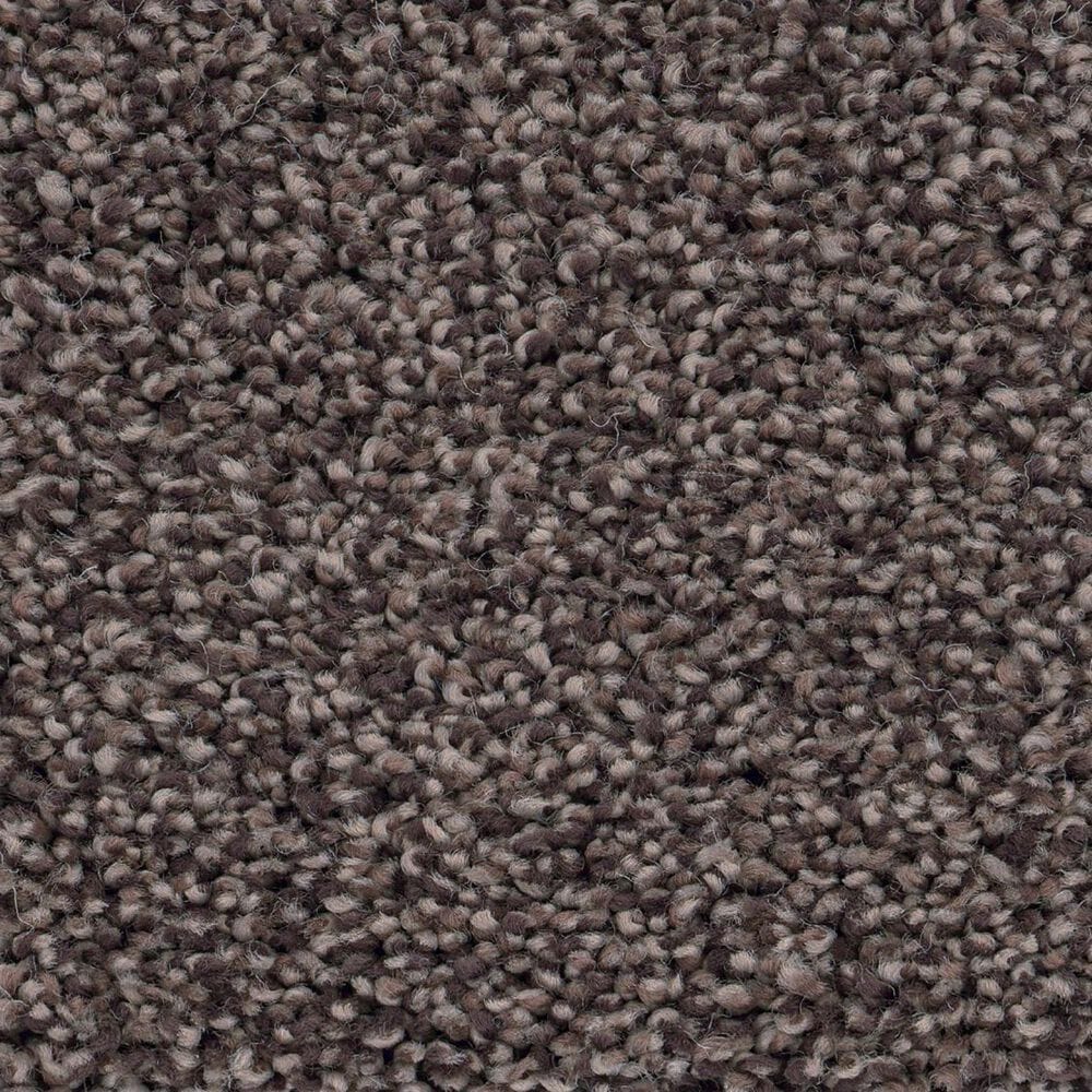 Anderson Tuftex Caress Cozy Harbor I Carpet in Burma Brown, , large