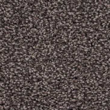 Anderson Tuftex Caress Cozy Harbor I Carpet in Burma Brown, , large