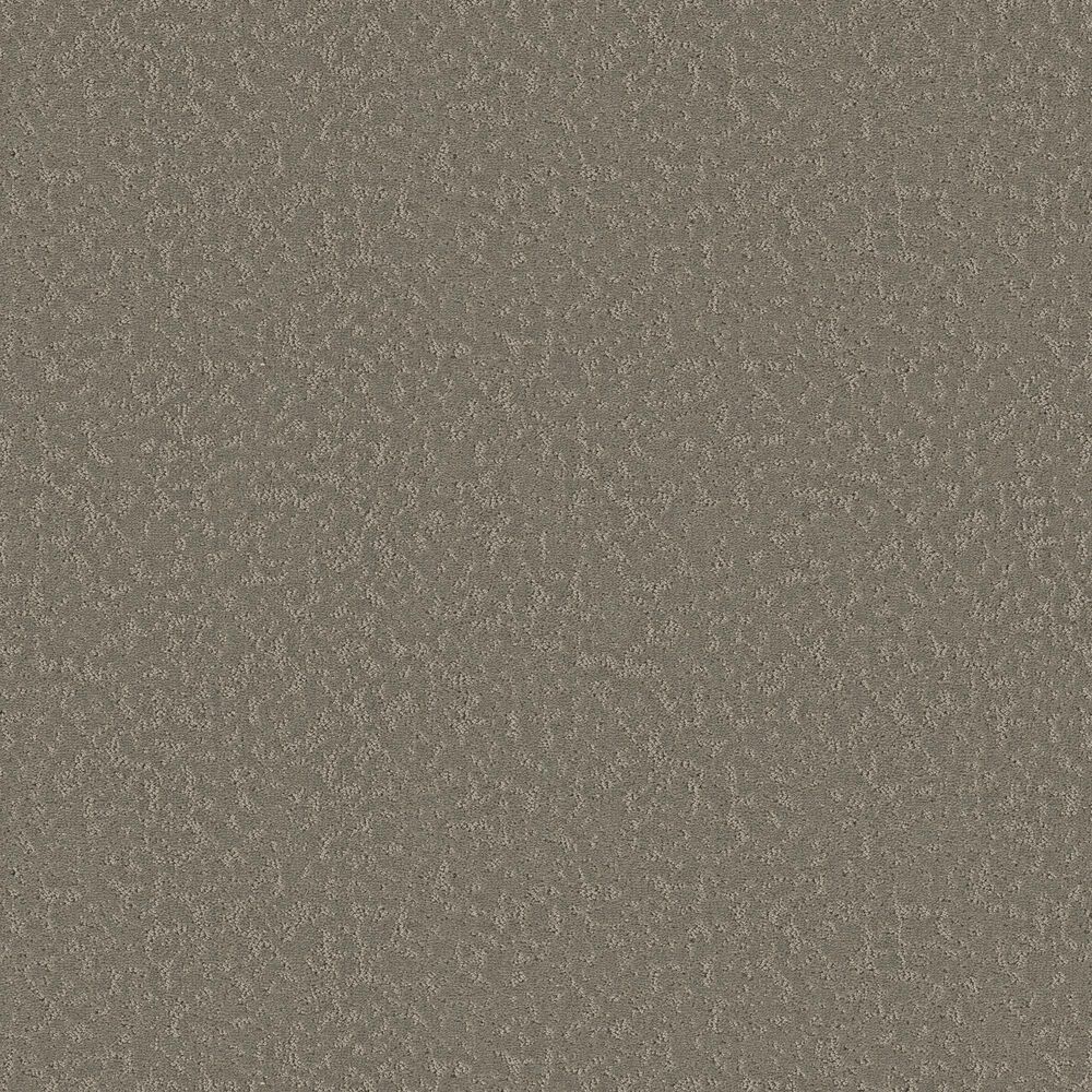Shaw Clever Choice Carpet in Fallen Acorn, , large
