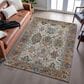Dalyn Rug Company Silk Road Copper, Ivory, Gold, Brown, Blue, Aloe and Blush 10" x 14" Area Rug, , large