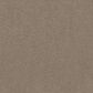 Shaw New Memories T Carpet in Stonecrest, , large