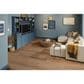 Shaw Briard Russet Oak 9" x 60" Luxury Vinyl Plank, , large