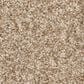 Anderson Tuftex Bossa Nova Carpet in Reed, , large