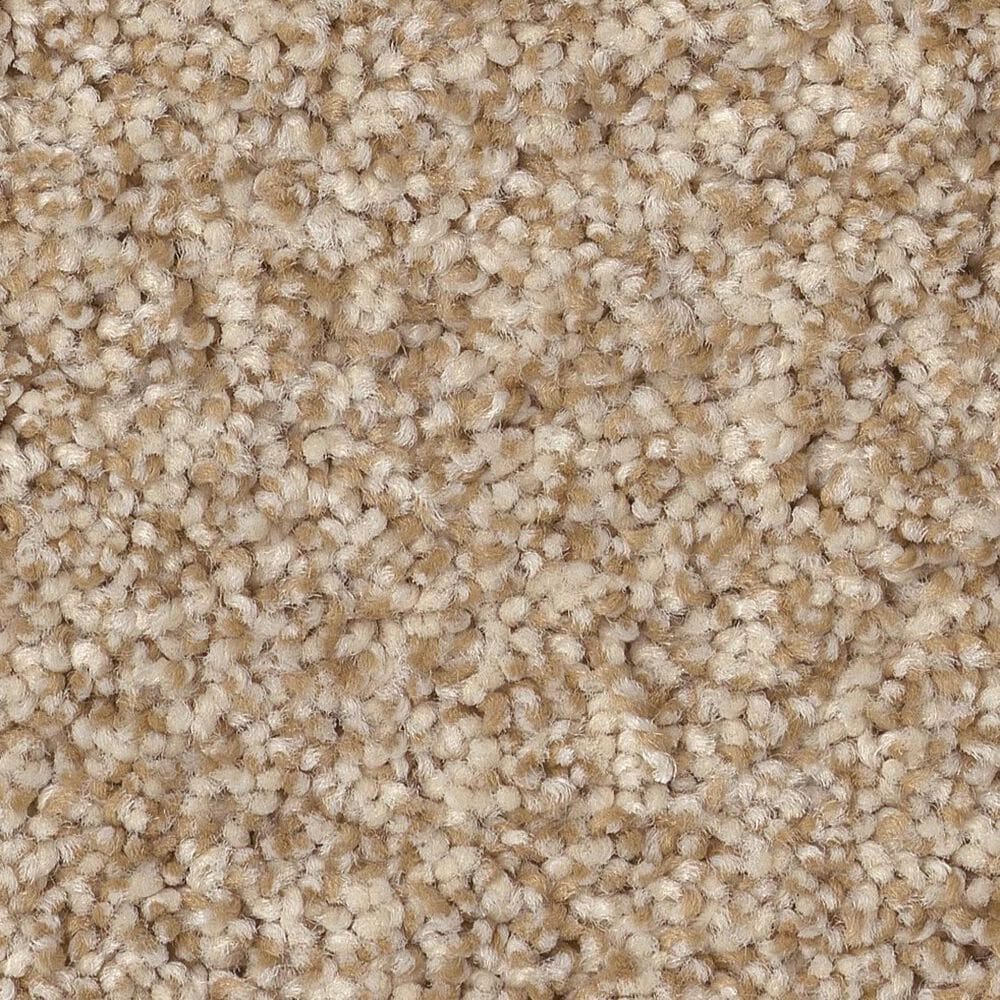 Anderson Tuftex Bossa Nova Carpet in Reed, , large