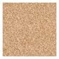 Dixie Home Paula Carpet in Etching, , large