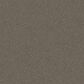 Shaw Without Limits II Carpet in Travatan, , large