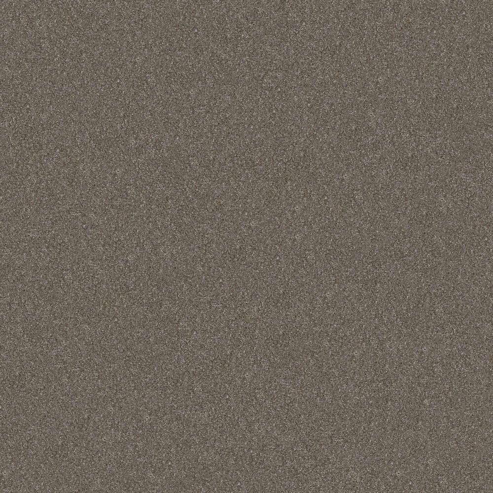 Shaw Without Limits II Carpet in Travatan, , large