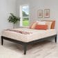 Linden Boulevard Polly Queen Platform Bed without Headboard in Black, , large