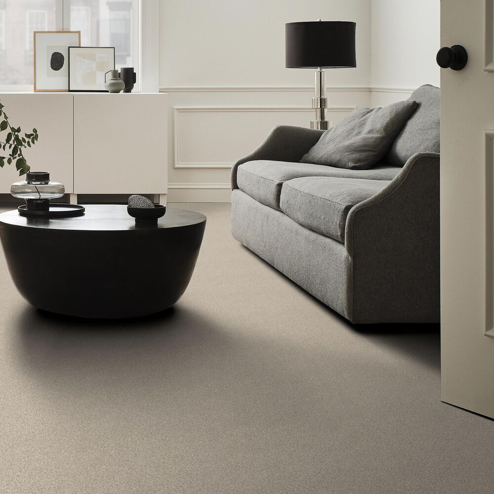 Shaw Tonal Comfort I Carpet in My Haven, , large