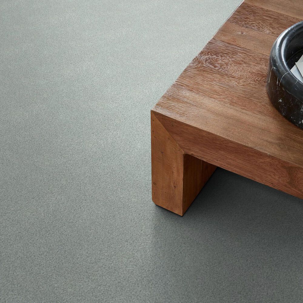 Shaw Tonal Comfort Ii Carpet in Refreshed, , large