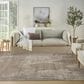 Nourison Harmony 7"9" x 9"9" Silver and Grey Area Rug, , large