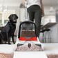 Hoover PowerDash Pet 1.5 Compact Carpet Cleaner in White and Red, , large