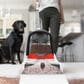 Hoover PowerDash Pet 1.5 Compact Carpet Cleaner in White and Red, , large