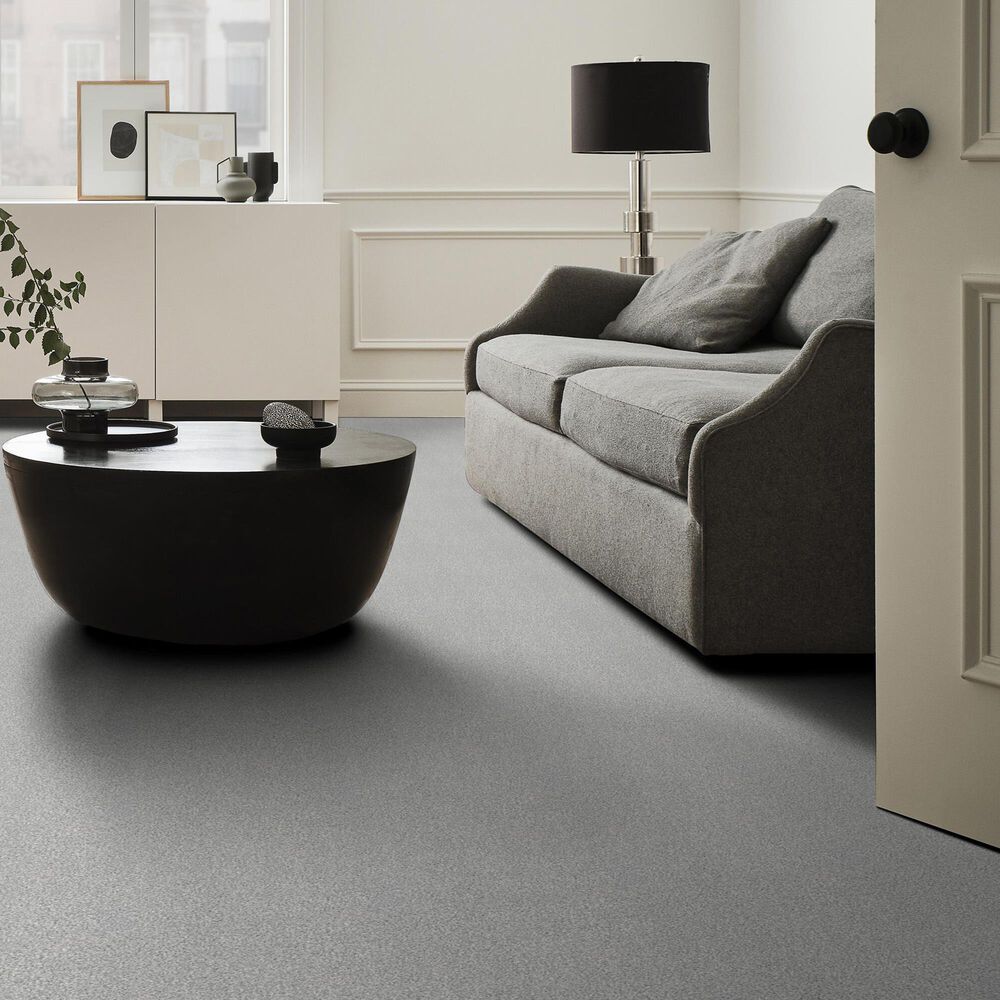 Shaw Tonal Comfort Ii Carpet in Polished Silver, , large