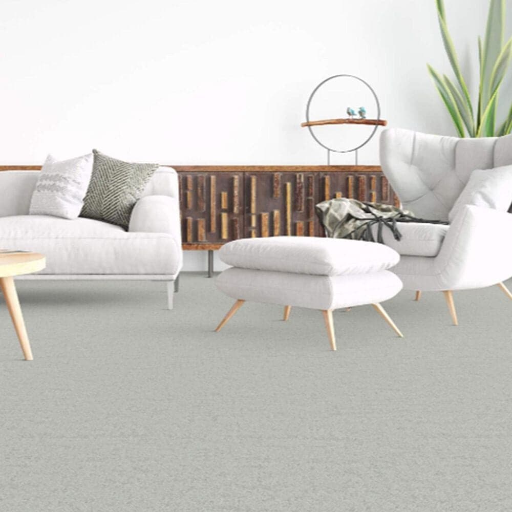 Dixie Home Genuine Carpet in Legitimate, , large