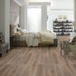 Shaw Paladin Plus 7" x 48" Vinyl Plank in Wild Dunes, , large