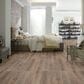 Shaw Paladin Plus 7" x 48" Vinyl Plank in Wild Dunes, , large