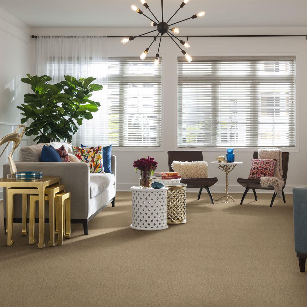 Anderson Tuftex Recital Carpet in Oak Ridge, , large