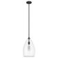Hunter Dunshire 10.5" 1-Light Medium Pendant with Clear Shade in Noble Bronze, , large