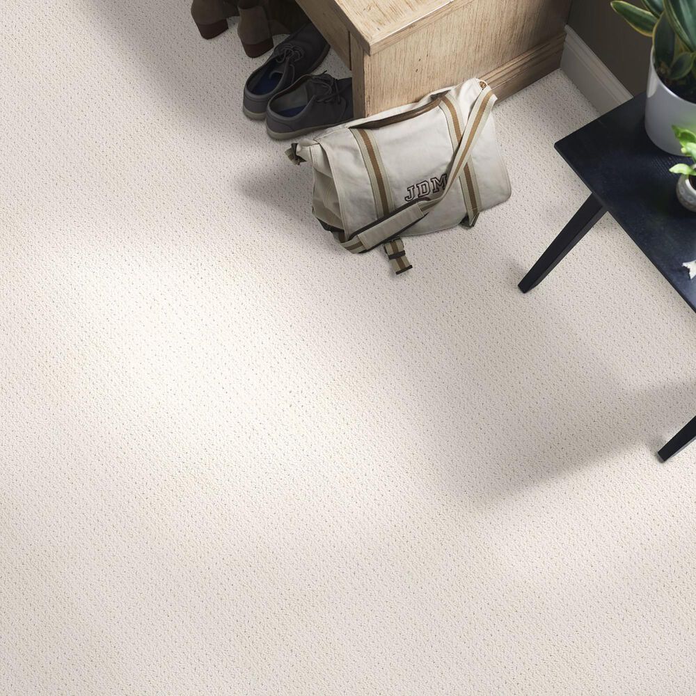 Anderson Tuftex Cabo Cove Carpet in White Blush, , large