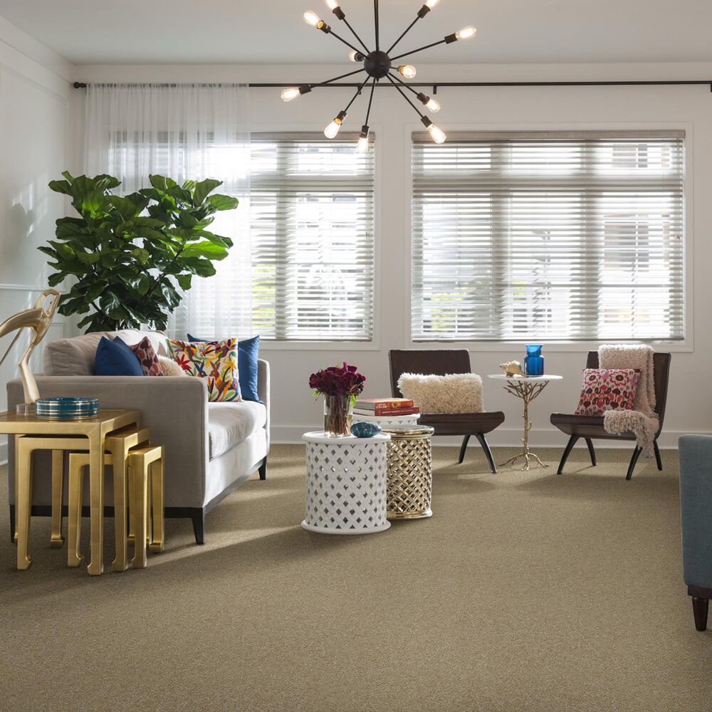 Shaw Foundations Take The Floor Texture II Carpet in Hazelnut, , large