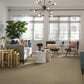 Shaw Foundations Take The Floor Texture II Carpet in Hazelnut, , large