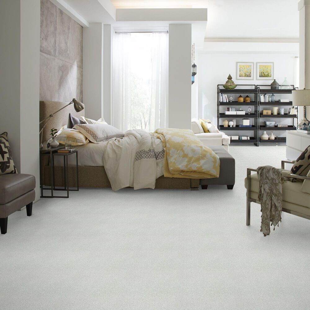 Shaw Find Your Comfort TT II Carpet in Whitewashed Frame, , large