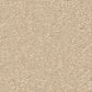 Shaw Awaken Spirit II 12" Carpet in Sunlight, , large