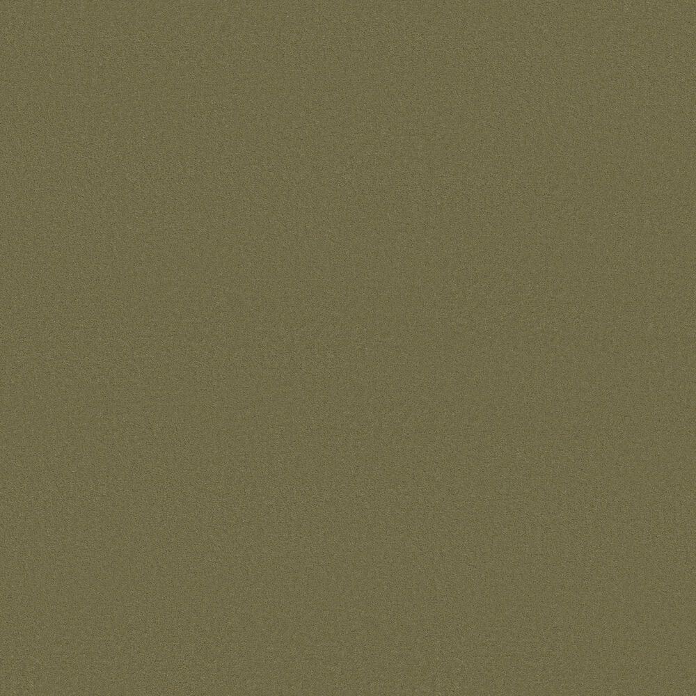 Anderson Tuftex Finery Carpet in Tate Olive, , large