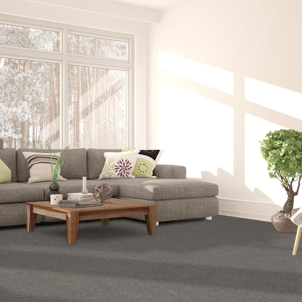 Dream Weaver Serene II Carpet in Rainwashed, , large