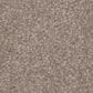 Phenix Canvas I Carpet in Vellum, , large