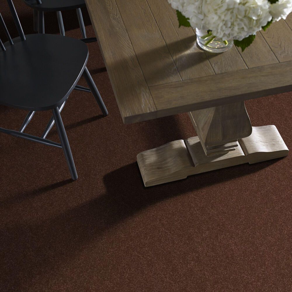 Shaw Hard At Play Iii Carpet in Orange Oxide, , large