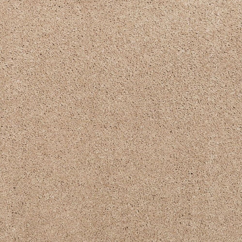 Mohawk Luxuriant Life Carpet in Haven, , large