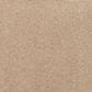 Mohawk Luxuriant Life Carpet in Haven, , large
