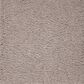 Mohawk Pleasant Touch Carpet in Perfect Taupe, , large