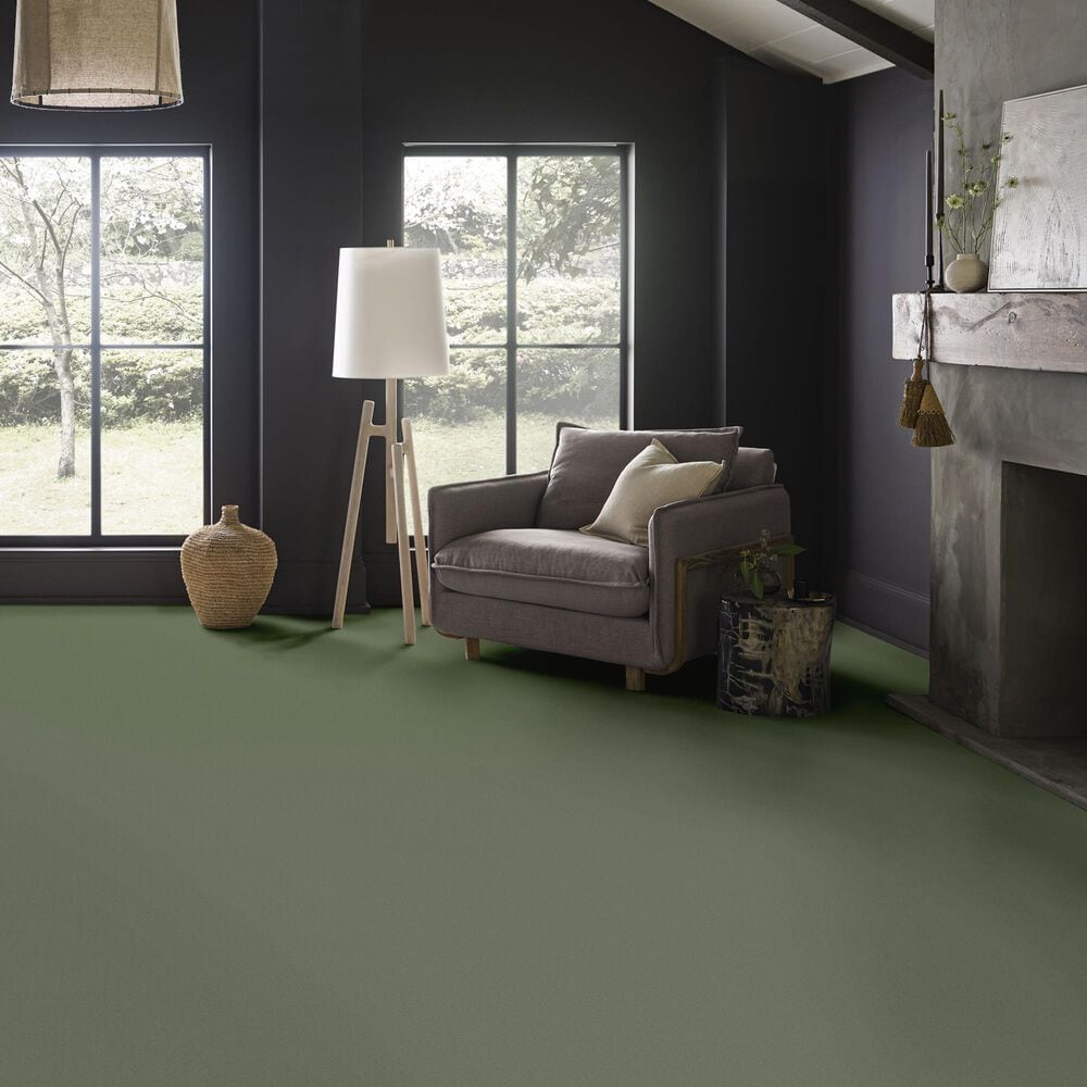 Anderson Tuftex Finery Carpet in Valley View, , large