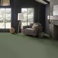 Anderson Tuftex Finery Carpet in Valley View, , large