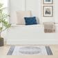 Nourison Astra Machine Washable ASW05 2"2" x 4" Ivory and Blue Area Rug, , large