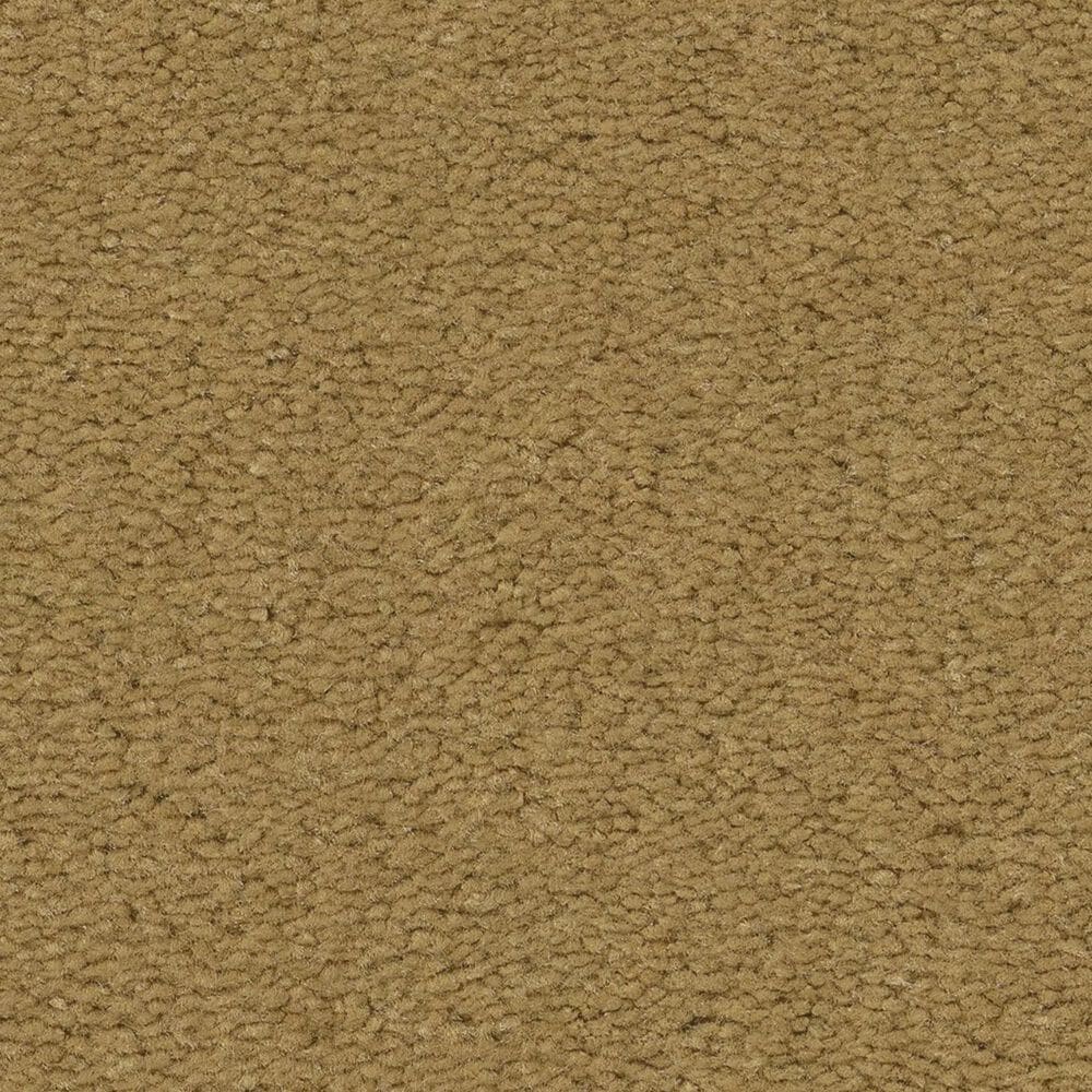 Anderson Tuftex Finery Carpet in Gold Coin, , large