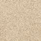 Dixie Home Natural Beauty Carpet in Almond, , large