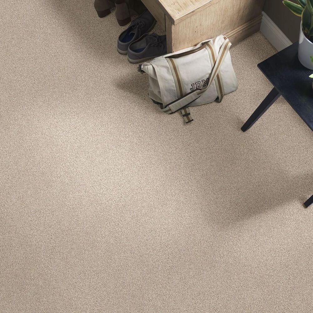 Shaw Find Your Comfort TT I Carpet in My Haven, , large