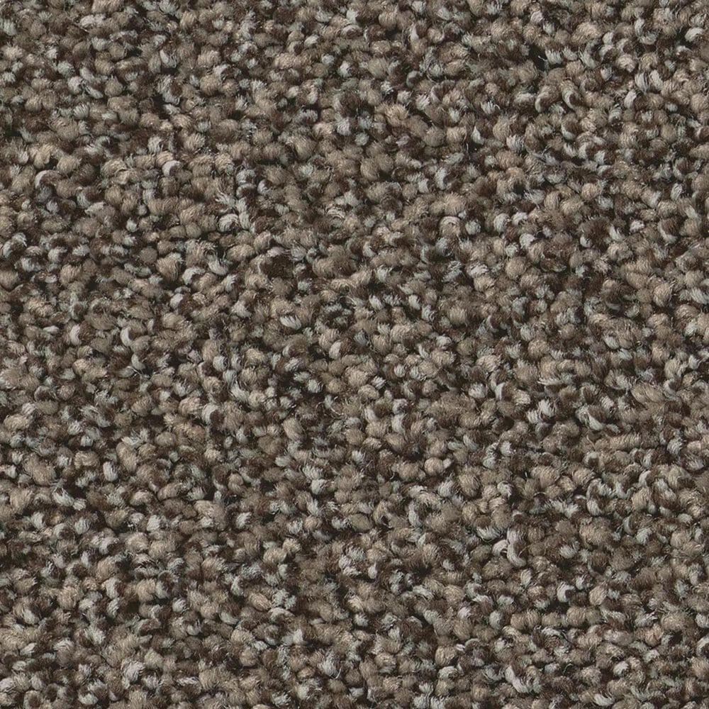 Anderson Tuftex Fabulous Carpet in Sable, , large