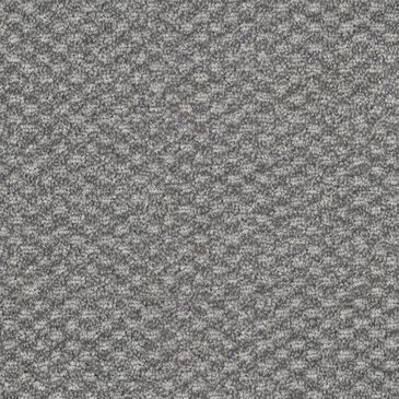 Dixie Home Soft Touch Carpet in Mellow, , large