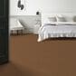 Anderson Tuftex Enchanting Carpet in Autumn Glaze, , large