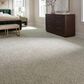 Mohawk Refined Retrievers II Carpet Highway, , large