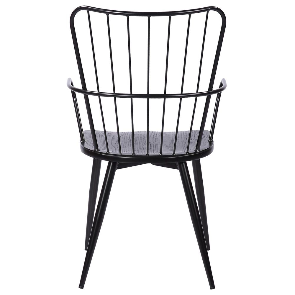 Blue River Parisa Side Chair in Black, , large