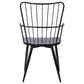 Blue River Parisa Side Chair in Black, , large